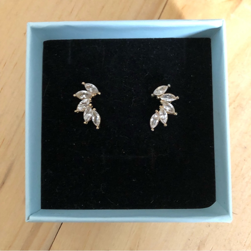 Elegant Earring Set